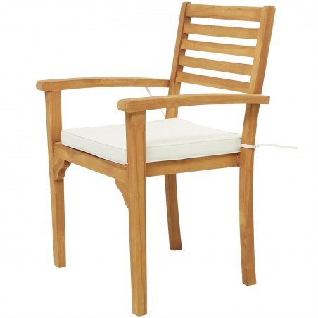 Teak Dining Chair w/ Cushion