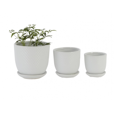 Whiten Ceramic Planter Set of 3