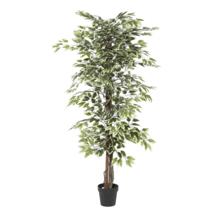 Artificial Ficus Plant